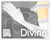 R+ F Divine Long Gloves
