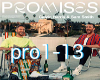 Promises - HARRIS/SMITH
