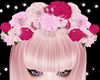 rose crown fairy 1 pink