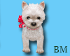 BM- Puppy Love