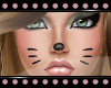 *Hello Whiskers V3