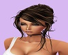 Brown Highlight