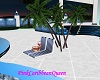 Royal Palm Sunbathing Ch