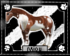 +M+ Pinto Horse Animated