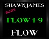 Shawn James ~ Flow