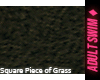 ♦. Square Grass