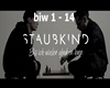Staubkind - Bis ich wie