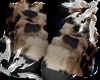 Fubanga