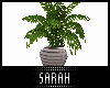 4K .:Plant:.