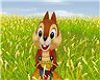 Chip Animation animal mouse squirrel cartoon Disney chipmunk pum