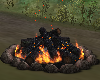 Campfire Embers no poses