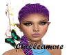 Cleo purple