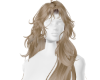 iva Jeny V4