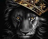 Lion King ...!!