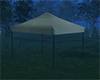 Starlight Canopy Tent