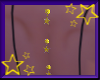 [2709]Star Back Jewels