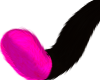 Neon Pink Black Tail