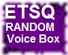Random M/F Voice Box 24