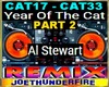 Year of the cat 2