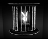 [LP] Playboy wall cage