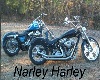 Narley Harley