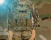 Crye Multicam Tac Vest