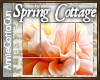 Cottage Floral Pic