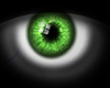 Green realistic eye
