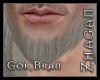 [Z] Bran Beard 4b