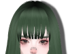 瓜 bangs forest