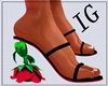 Red Rose Shoes