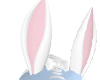 pachi | bunny ears