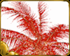 Palm Tree Red W.Spot