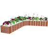 flowers/plants