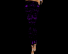 LowRider Purple/Black