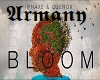 phaxe-querox-bloom