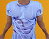 Dolphin Wet T-Shirt (M)
