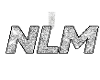 M. Custom NLM Chain