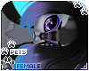 [Pets] Umba | hair v6