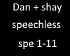Dan+shay speechless