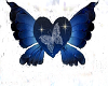 ~CBS~Blue Butterfly