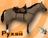 Grullo Western Horse