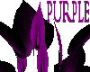 [L]Plant black & purple