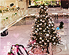 |< Christmas Shopping DC