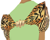 shawl tiger