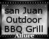 ! Outdoor BBQ Grill