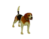 S4E Cute Beagle