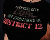 Christmas District 12