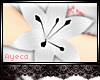 [AYZ]W.Lilies Bracelet