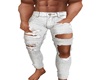 Grayish Whte Ripped